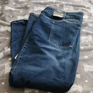 Torrid Blue Jeggings Classic Style